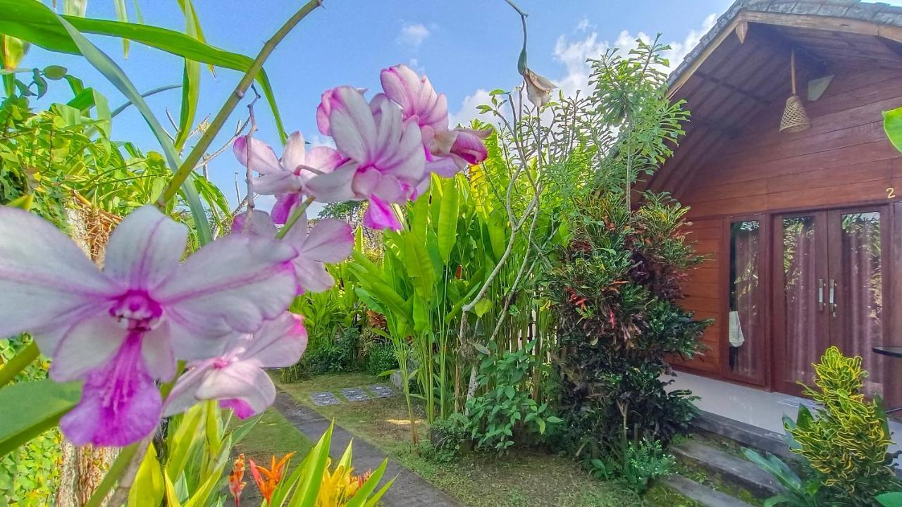 Morning Bali Bungalow チャングー エクステリア 写真