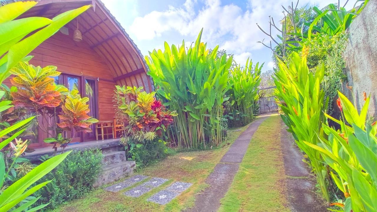 Morning Bali Bungalow チャングー エクステリア 写真