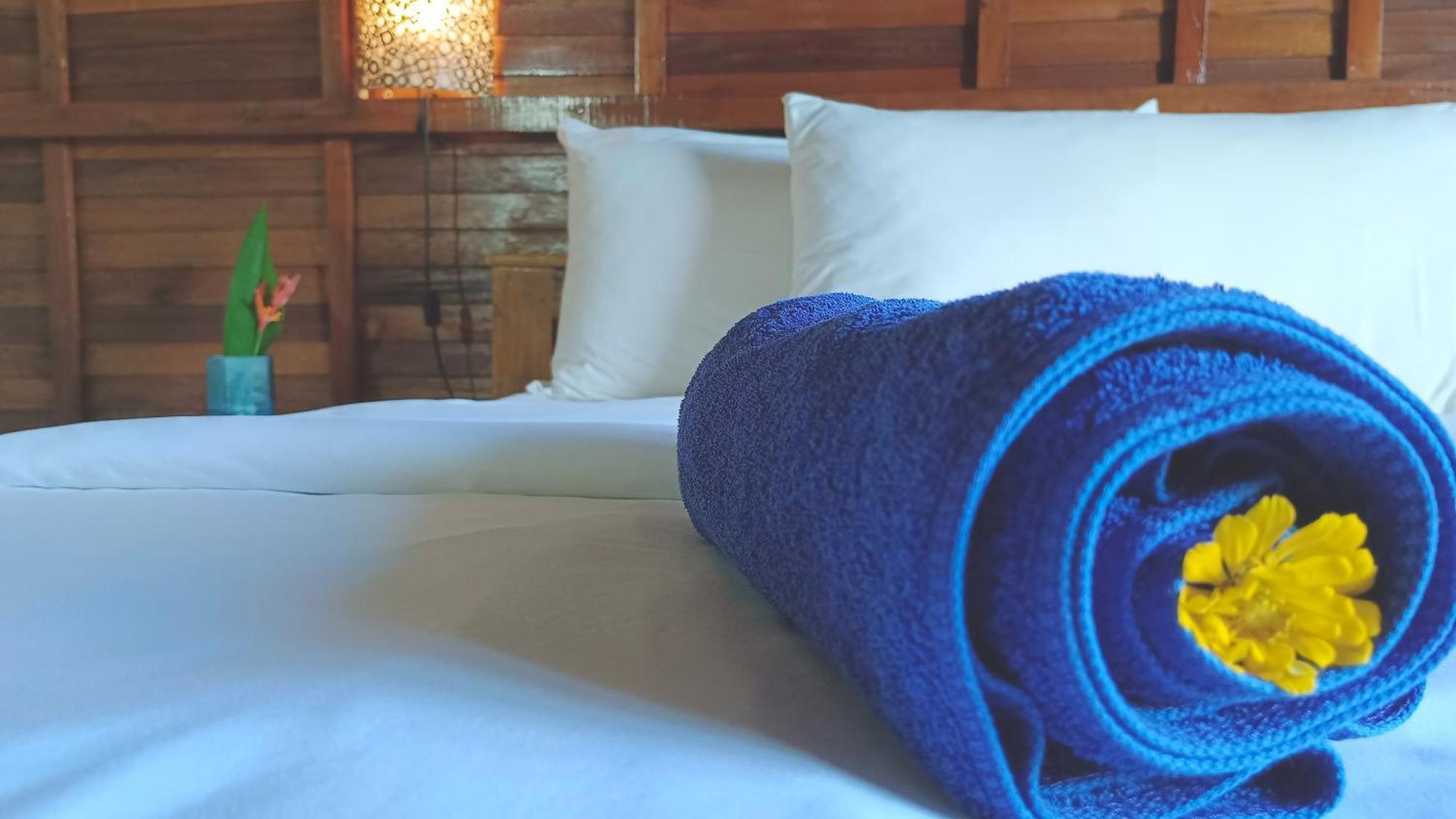 Morning Bali Bungalow チャングー エクステリア 写真